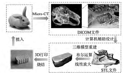 增材制造可降解人工骨的研究进展———从外形定制到性能定制
