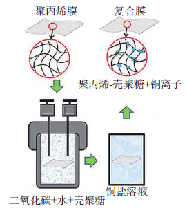 抗菌聚丙烯的制备及应用研究进展