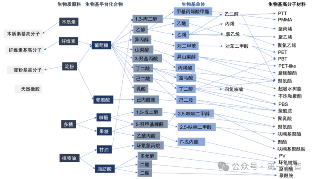 发展生物基材料正当时