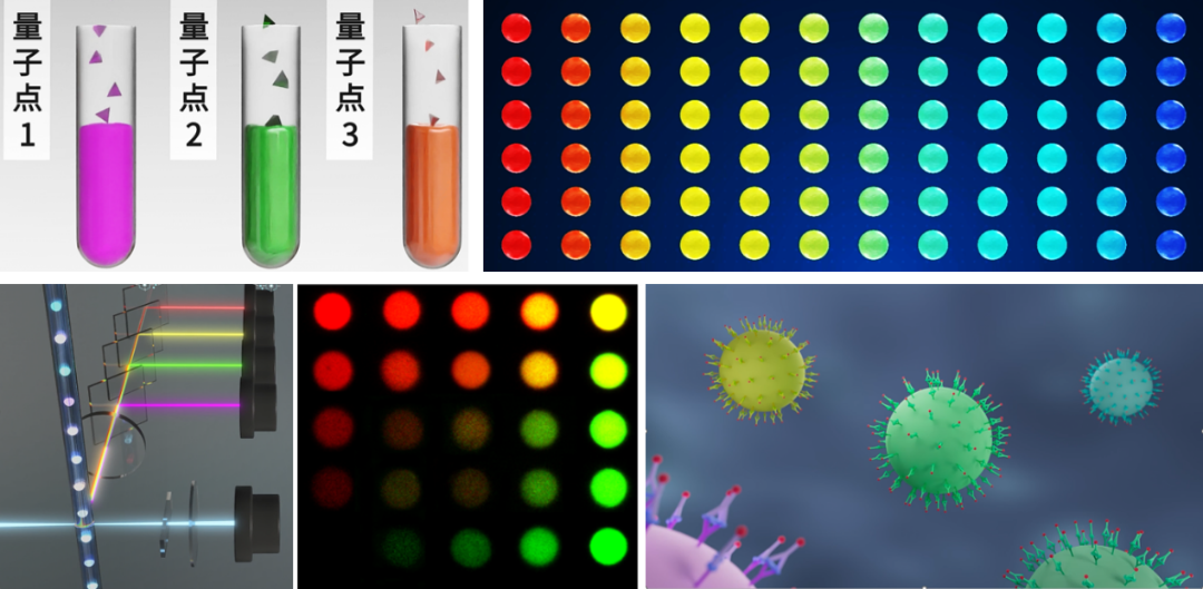 上海交大材料学院李万万团队成功创建了量子点液态生物芯片技术平台