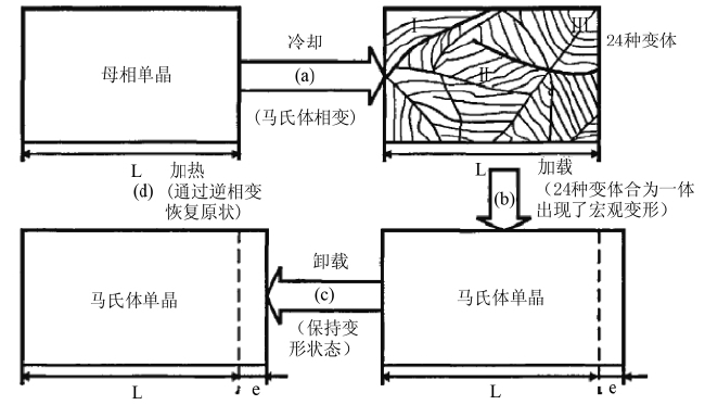 形状记忆合金的发展