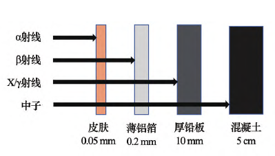 环氧树脂基辐射防护材料研究进展