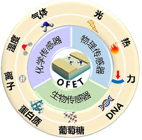基于有机场效应晶体管的柔性传感器: 材料、机制与应用