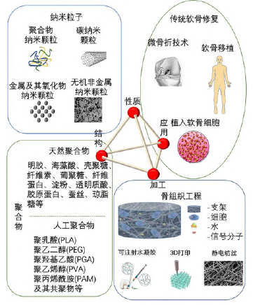 纳米复合水凝胶在人工软骨中的研究进展