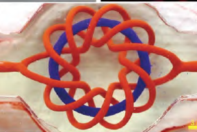 光固化生物3D打印研究进展及其在生物医药领域的应用