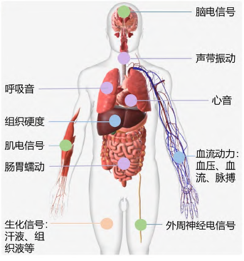 用于深部组织微创及无创连续监测的柔性电子器件