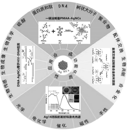 功能银纳米团簇的最新进展：荧光特性和生物应用