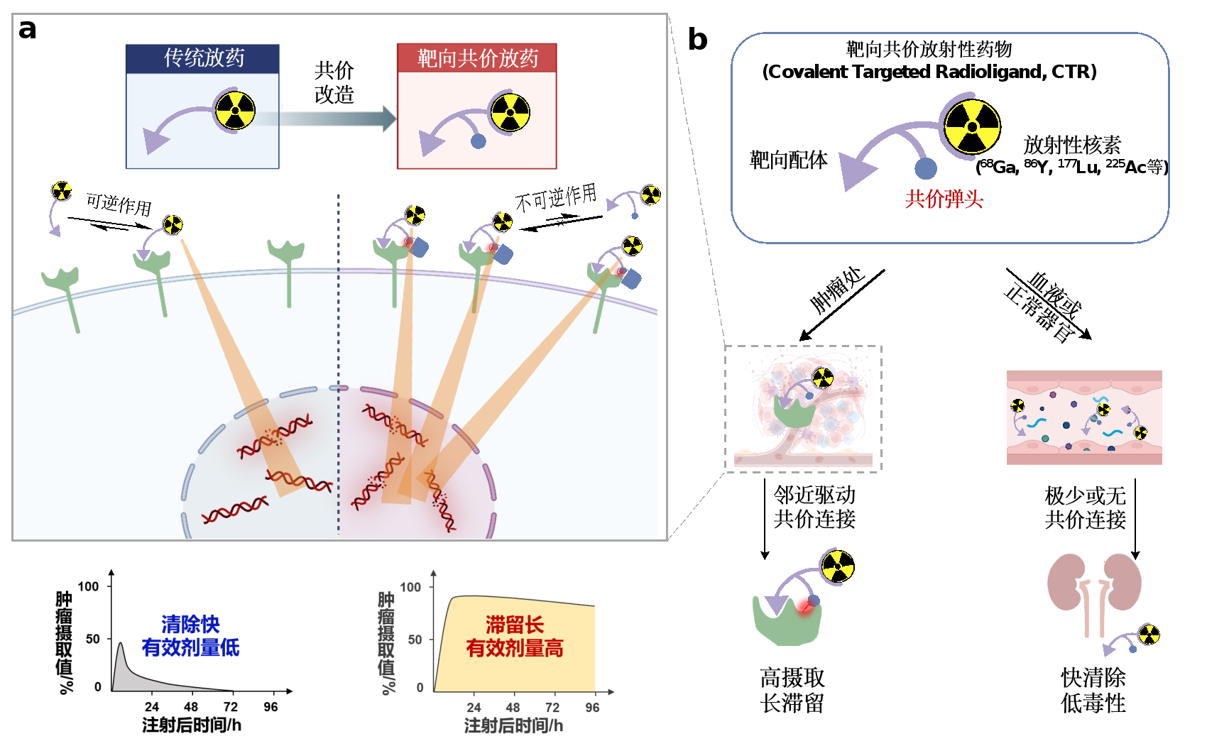 北大-清华生命科学联合中心开发报道靶向共价放射性药物