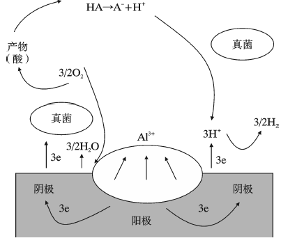海洋环境下铝合金腐蚀与防护的研究进展探析