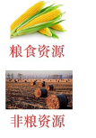 高性能高分子材料体系自立自强发展战略研究