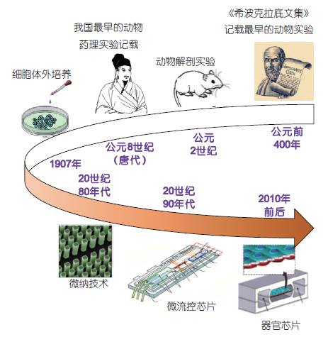 器官芯片的制备及生物医学工程应用
