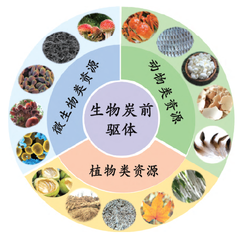 生物炭材料应用于超级电容器的研究进展