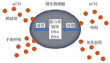 零价铁及其复合材料在污水处理中的研究进展