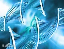 合成生物学赋能：从学科发展到产业转化