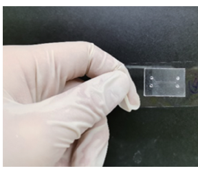 用于高分辨率成像的肺器官芯片构建及肺炎模型应用研究