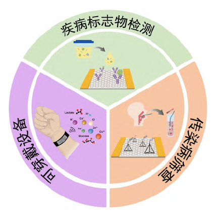 晶体管生物传感:界面调控策略及生物医学应用