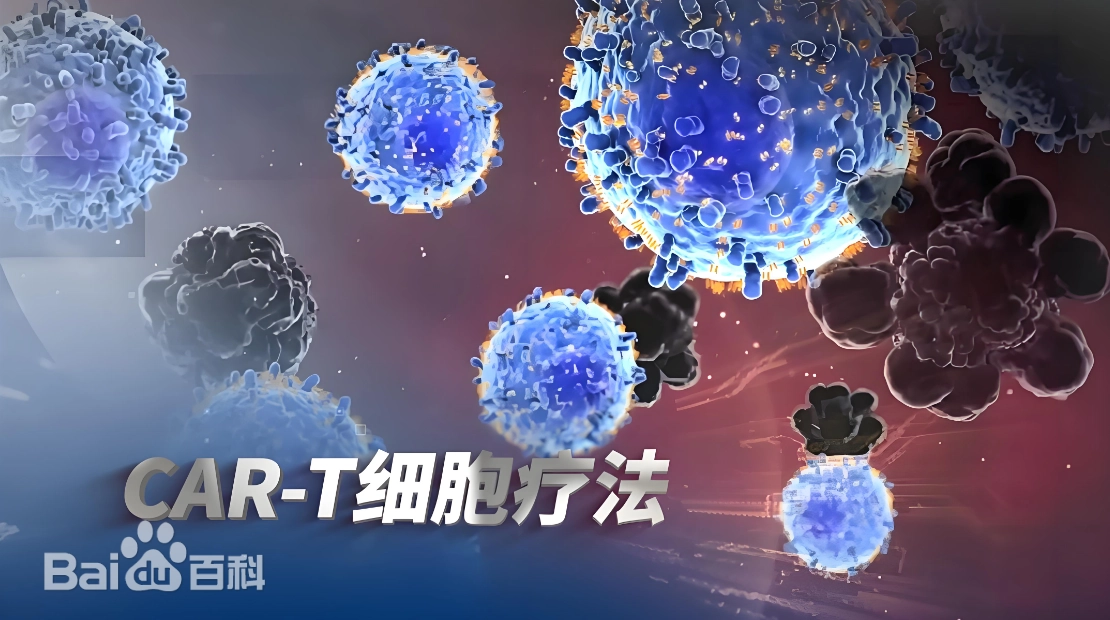 细胞治疗药物：进展与展望