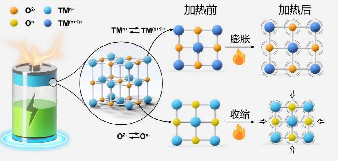 发现富锂锰基正极材料“遇热收缩”特性，让锂电池“返老还童”