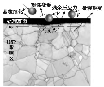 高温合金GH4169超声喷丸强化表征与热影响分析