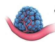 氨基酸基材料在基因与药物传递领域的应用