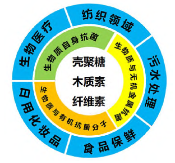 生物质基抗菌材料制备及其应用进展