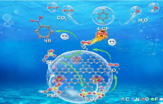 高级氧化技术中活性氧物种的调控策略与机制
