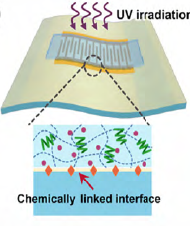 面向智能感知应用的分子材料与器件研究进展