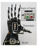 可降解超低功耗人工突触研制成功，将记忆保持时间延长至近百分钟