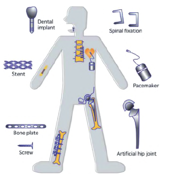 生物医用锆基合金的研究进展