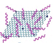 碳材料在聚乳酸立构复合结晶中的应用研究进展