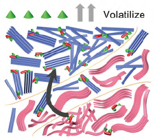 分子掺杂半透明有机太阳能电池研究进展