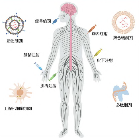 肿瘤治疗性mRNA疫苗的研发进展