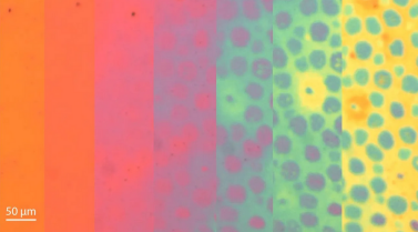 新型合成皮肤同时改变质地与颜色，有望用于伪装、柔性机器人及先进显示等技术领域