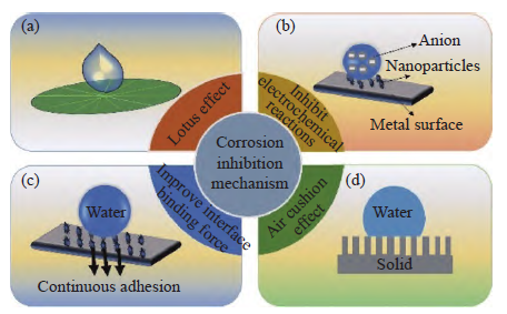 超疏水涂层在金属防腐蚀领域的研究进展