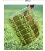 我国柔性AI芯片技术获突破，可弯曲设计适配可穿戴设备与具身智能