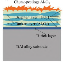 TiAl合金的高温抗氧化涂层研究进展