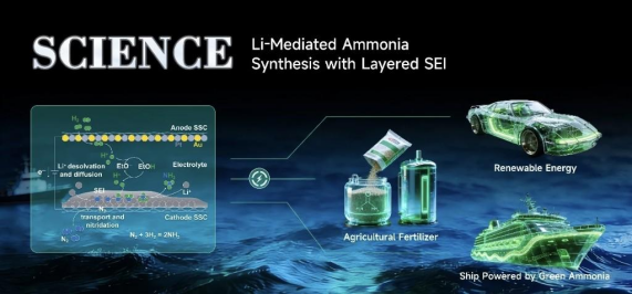 国际首次！上海交大团队破解电合成氨全球难题