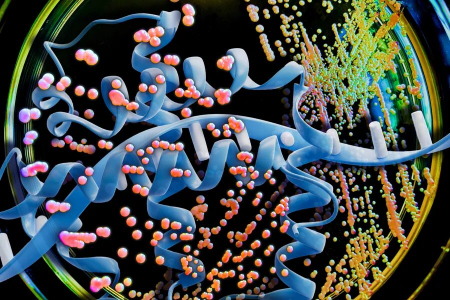 蛋白质药物生产成本有望大幅降低！MIT用大语言模型优化酵母密码子