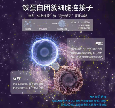 一张&ldquo;双面胶&rdquo;让CAR T细胞精准追杀白血病细胞