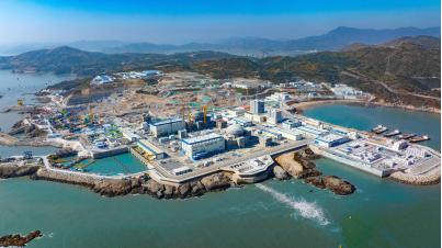 长三角首台&ldquo;华龙一号&rdquo;核电机组首次并网发电