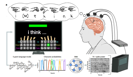 实验研究表明：新型脑机接口可作意念打字&ldquo;键盘&rdquo;