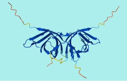 &ldquo;阿尔法折叠&rdquo;数据集实现重要升级，首次纳入预测的蛋白质复合物结构