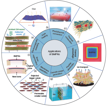 仿生二维过渡金属碳/氮化物/高分子纳米复合材料