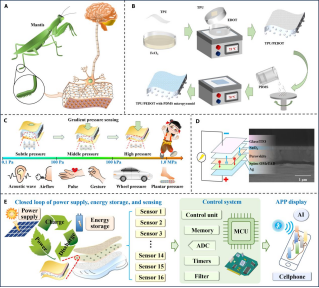 走路姿势暴露身体状况，国产&ldquo;自发电&rdquo;柔性传感鞋垫看穿疾病预警信号