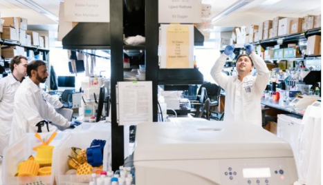 HIV与人体免疫细胞战斗的攻防图首次绘成，鉴定出数百个人类基因隐藏&ldquo;卫士&rdquo;