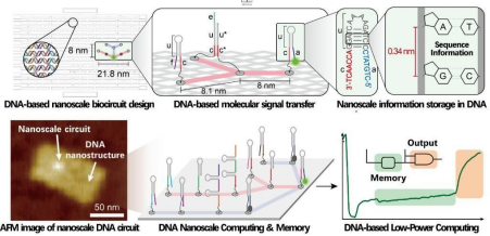 DNA分子计算机突破2纳米半导体工艺极限