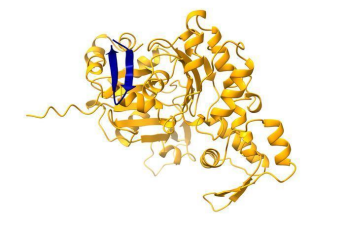 《自然》发布重磅研究成果,DNA&ldquo;废料&rdquo;中发现超千种全新微蛋白