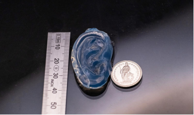 新型全息3D打印技术效率提升70倍，制造人体器官模型仅需几分钟