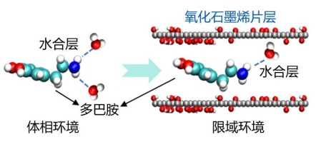 我国科学家巧用冰点差异给复合膜装上&ldquo;智能开关&rdquo;