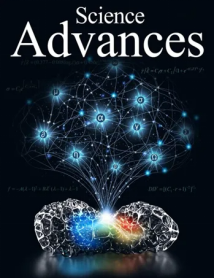 AI&ldquo;科学家&rdquo;发现固体材料核心机理